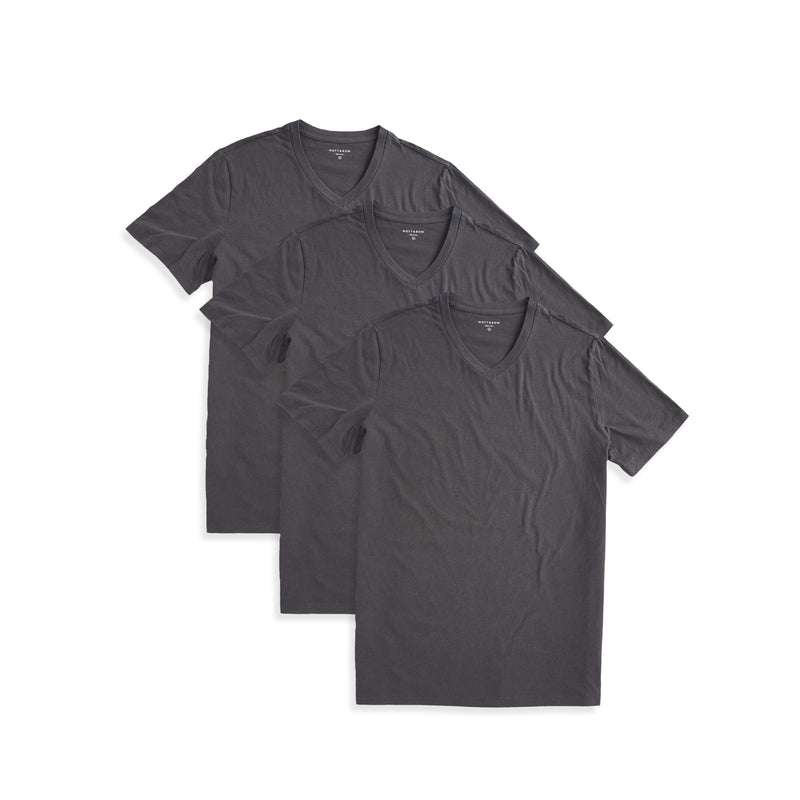  wearing Dark Gray Classic V-Neck Driggs 3-Pack