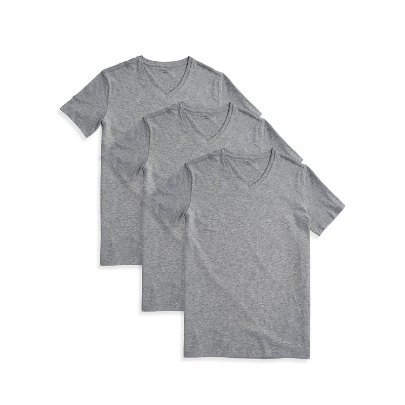  wearing Heather Gray Classic V-Neck Driggs 3-Pack